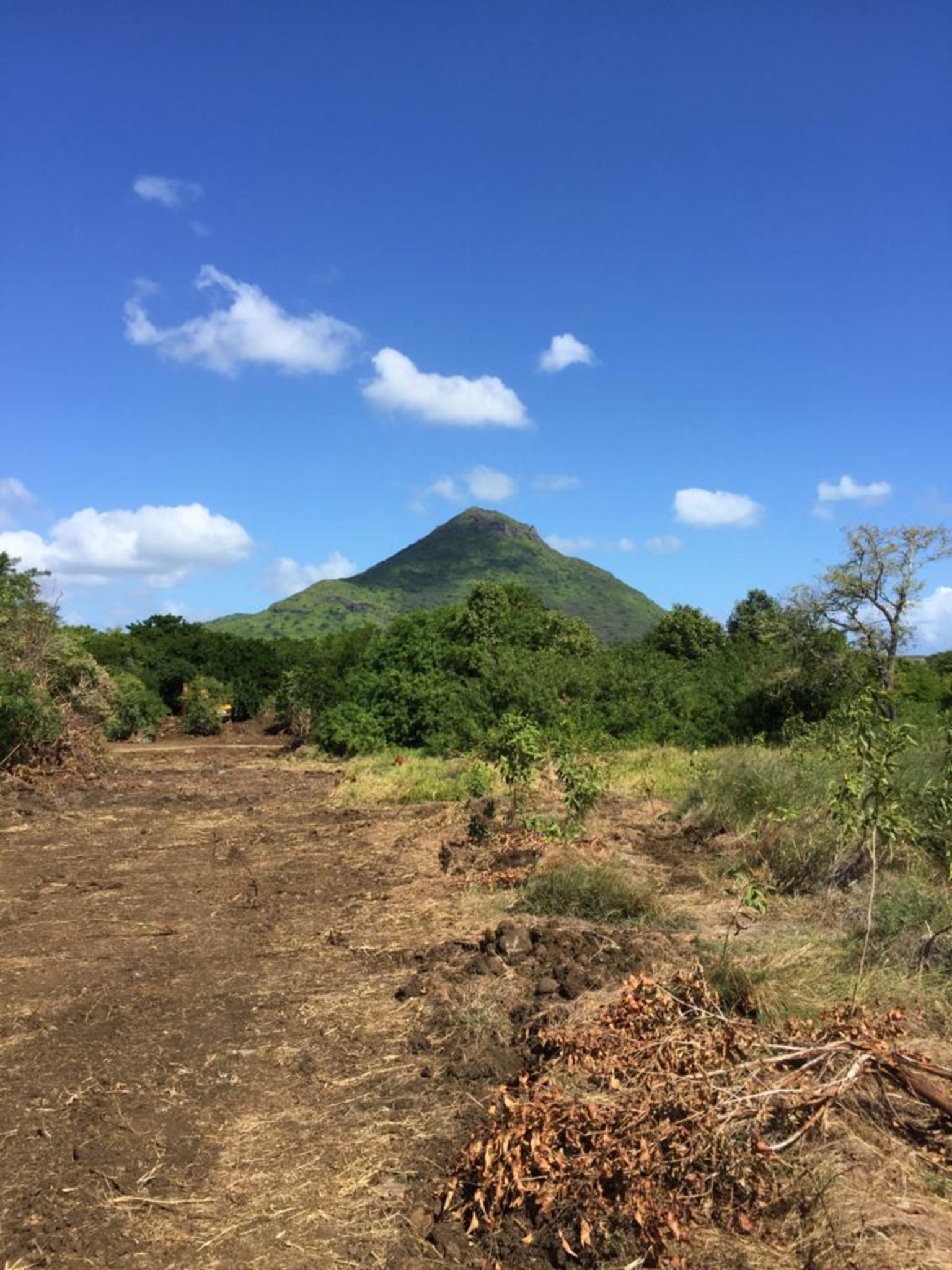 Property – LexpressProperty.com | 382776 | Ref01