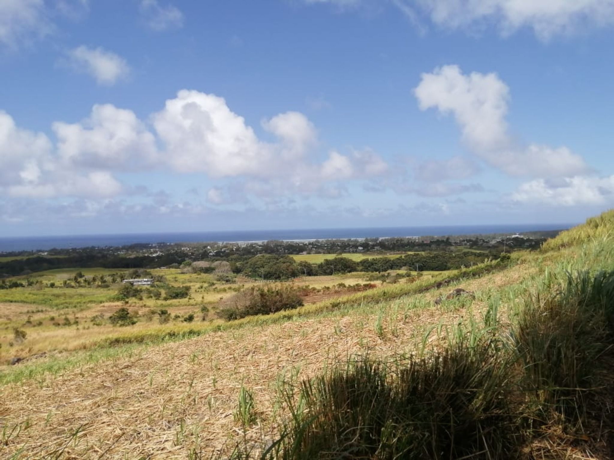 Agricultural land of 8330 m2 for sale in Surinam, south, Mauritius – LexpressProperty.com | 384863 | Ref01