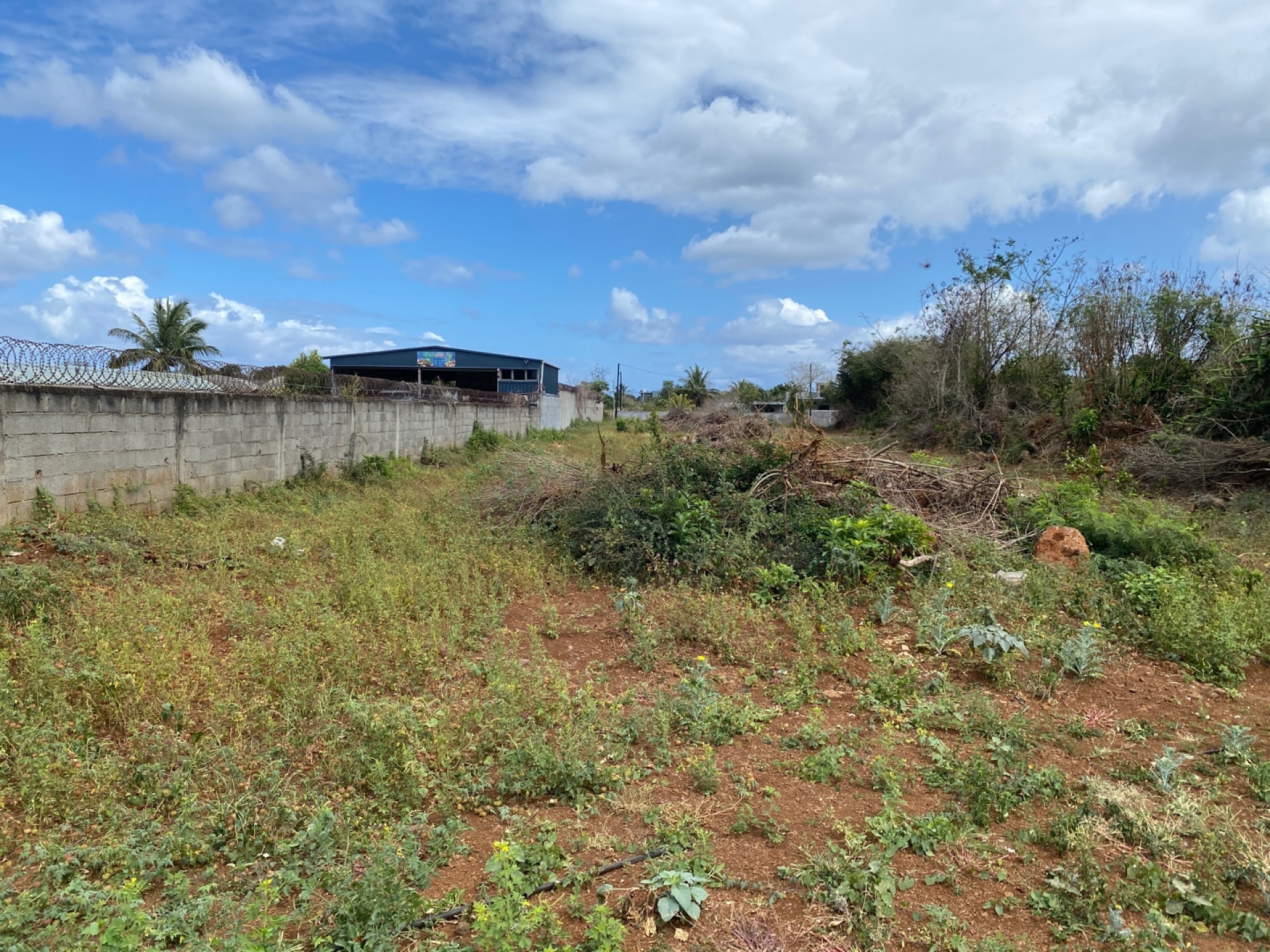 Agricultural land of 2110 m2 for sale in Pointe aux Piments, north, Mauritius – LexpressProperty.com | 380364 | Ref01