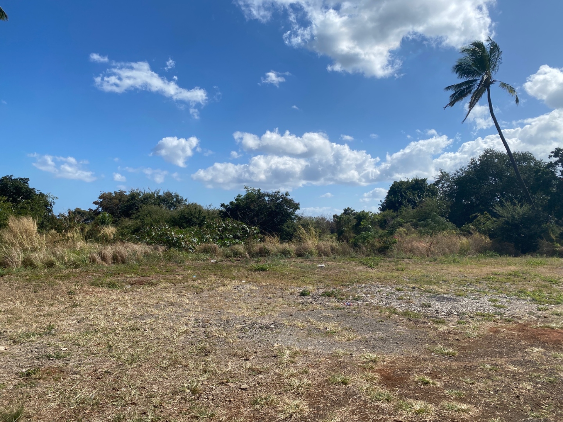 Agricultural land of 18426 m2 for sale in Petite Rivière, west, Mauritius – LexpressProperty.com | 380367 | Ref01