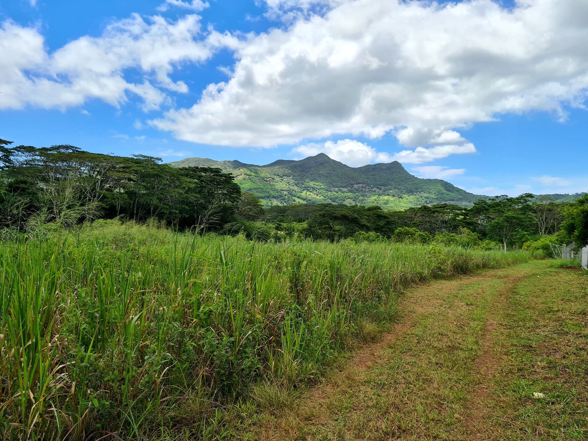 Agricultural land of 4474 m2 for sale in Chamarel, west, Mauritius – LexpressProperty.com | 385094 | Ref01