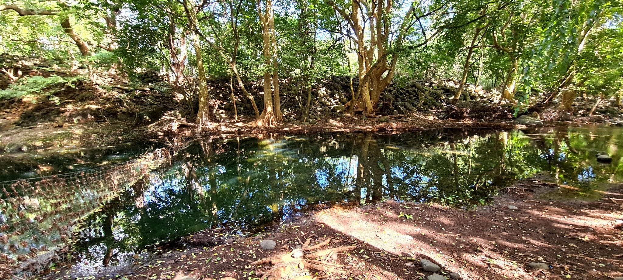 Terrain résidentiel de 4221 m2 en vente à Black River, ouest, île Maurice – LexpressProperty.com | 385090 | Ref01