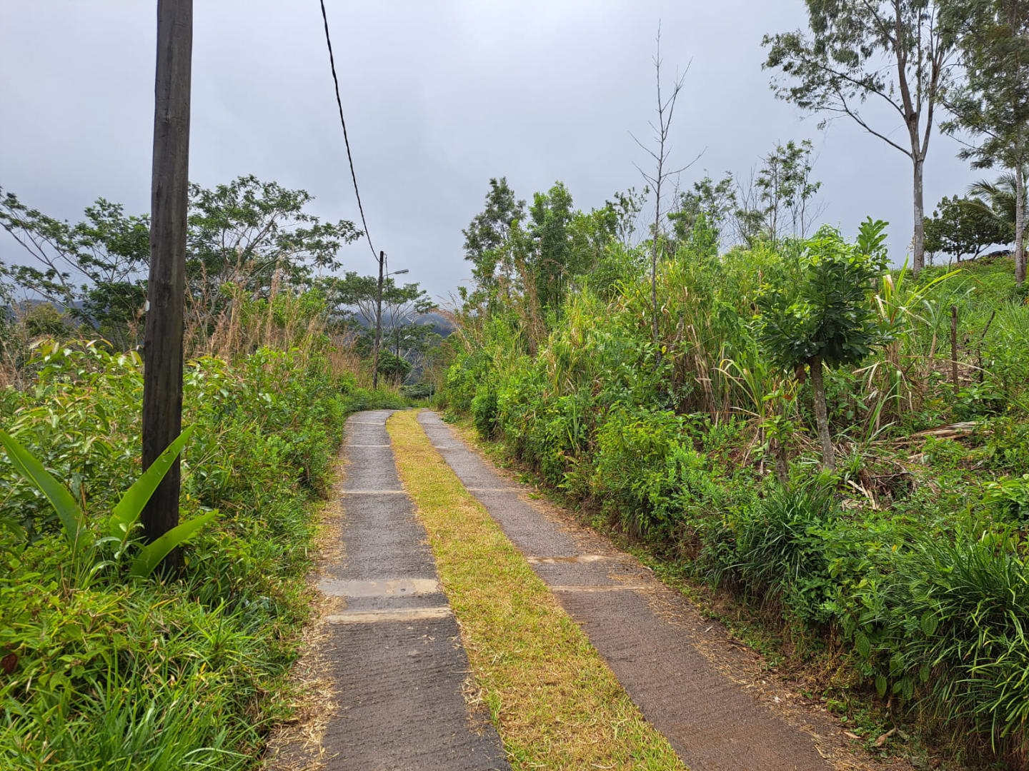 Residential land of 10848 m2 for sale in Chamarel, west, Mauritius – LexpressProperty.com | 381218 | Ref01