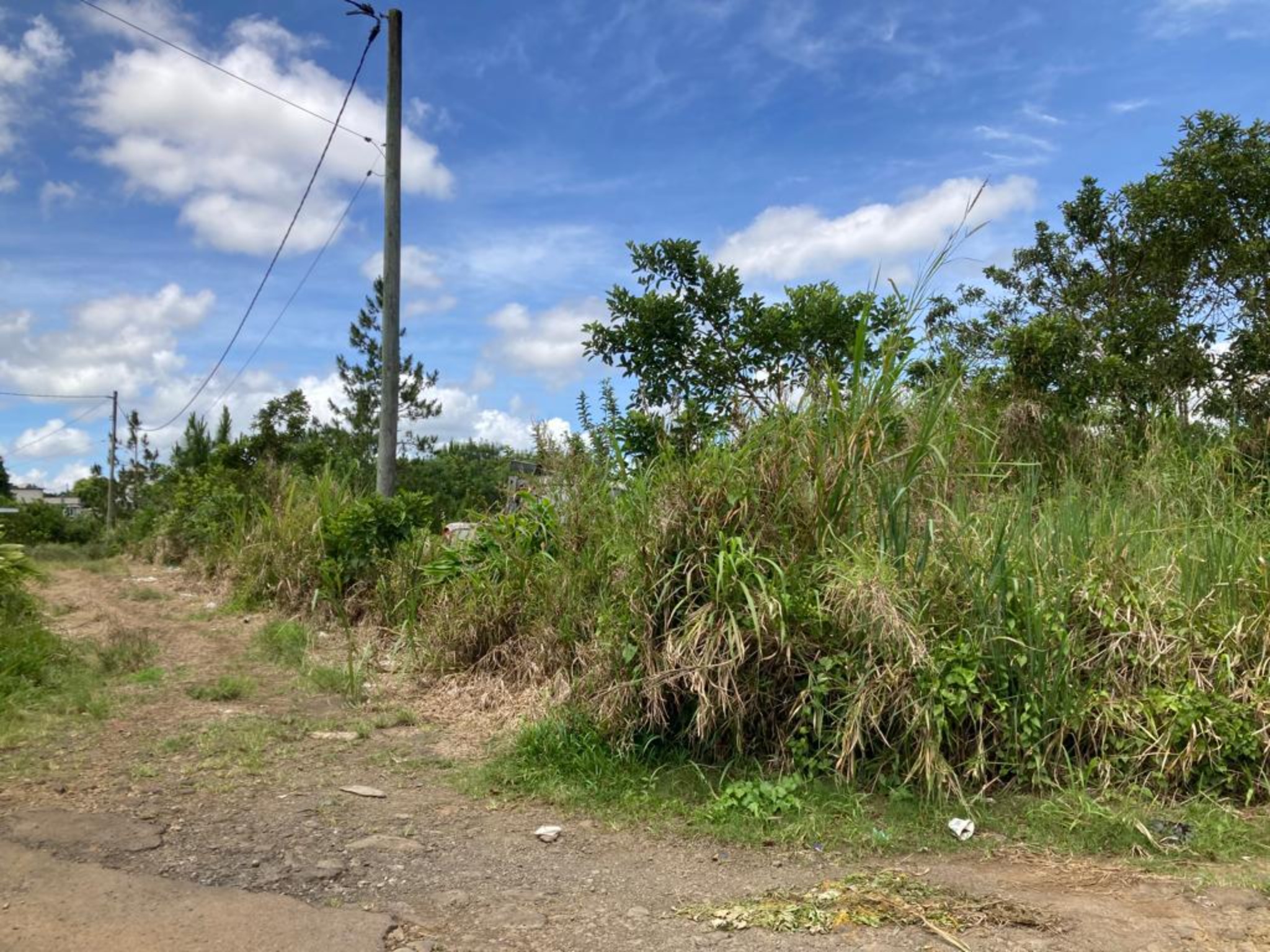Property – LexpressProperty.com | 386005 | Ref01