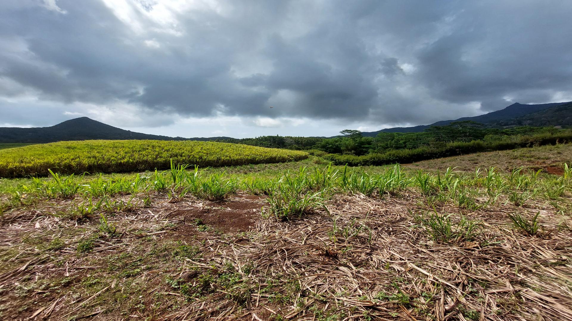 Agricultural land of 7789 m2 for sale in Chamarel, west, Mauritius – LexpressProperty.com | 386195 | Ref01