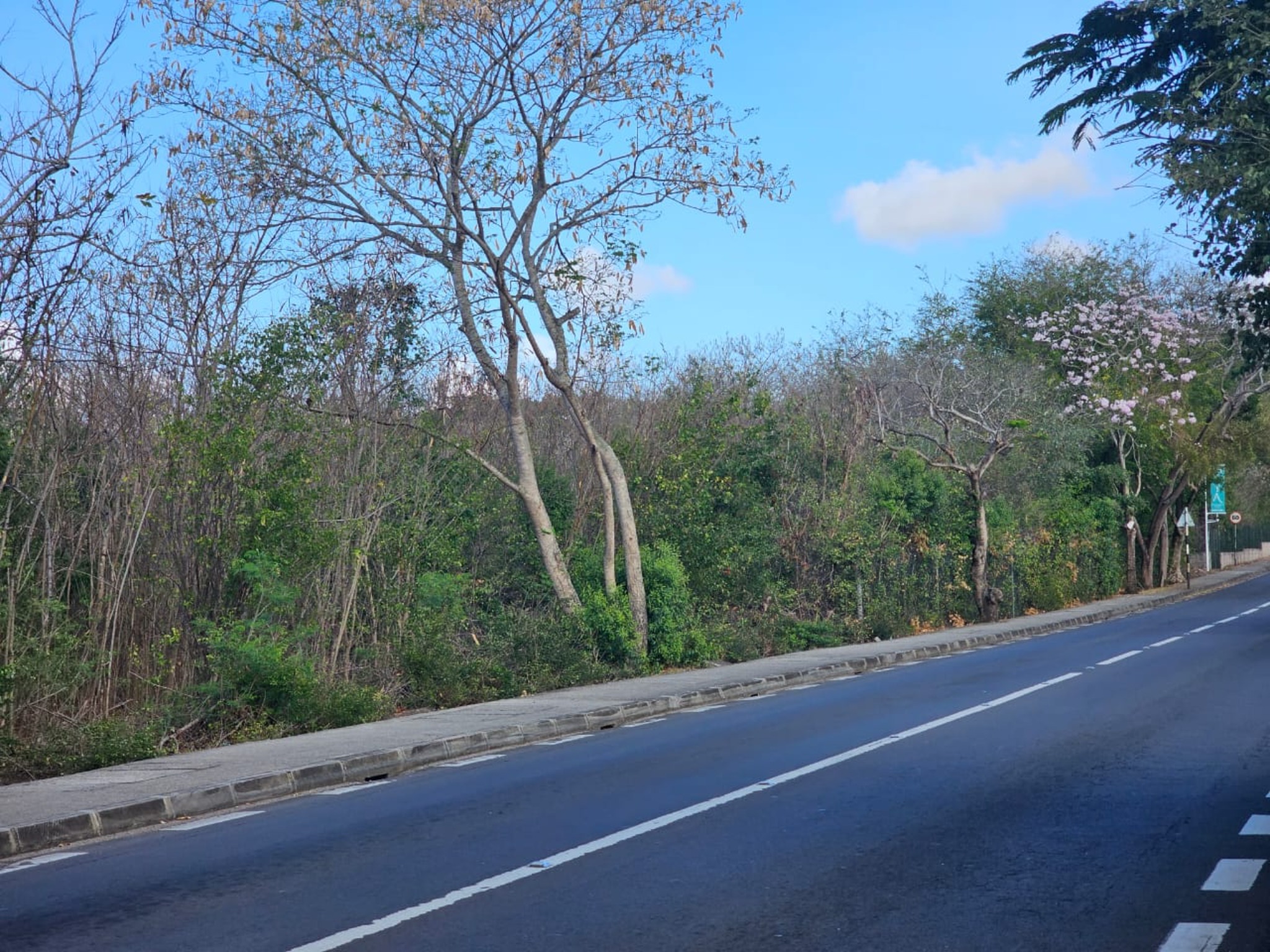 Property – LexpressProperty.com | 385880 | Ref01