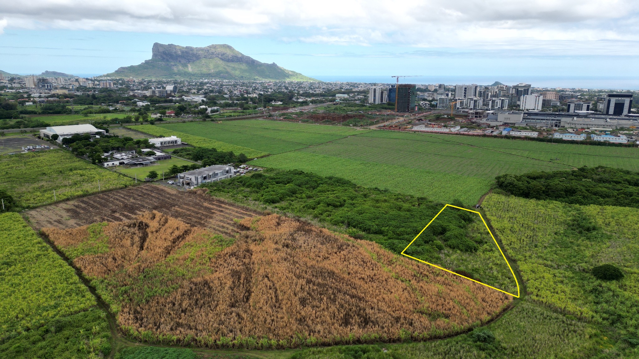 Terrain agricole de 4615 m2 en vente à Abercrombie, nord, île Maurice – LexpressProperty.com | 389868 | Ref01
