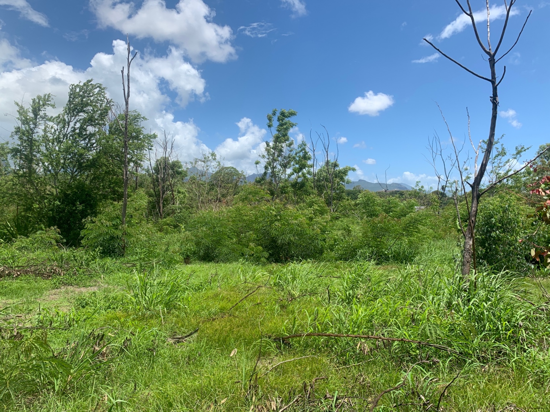 Residential land of 598 m2 for sale in Le Goulet, north, Mauritius – LexpressProperty.com | 323667 | Ref01