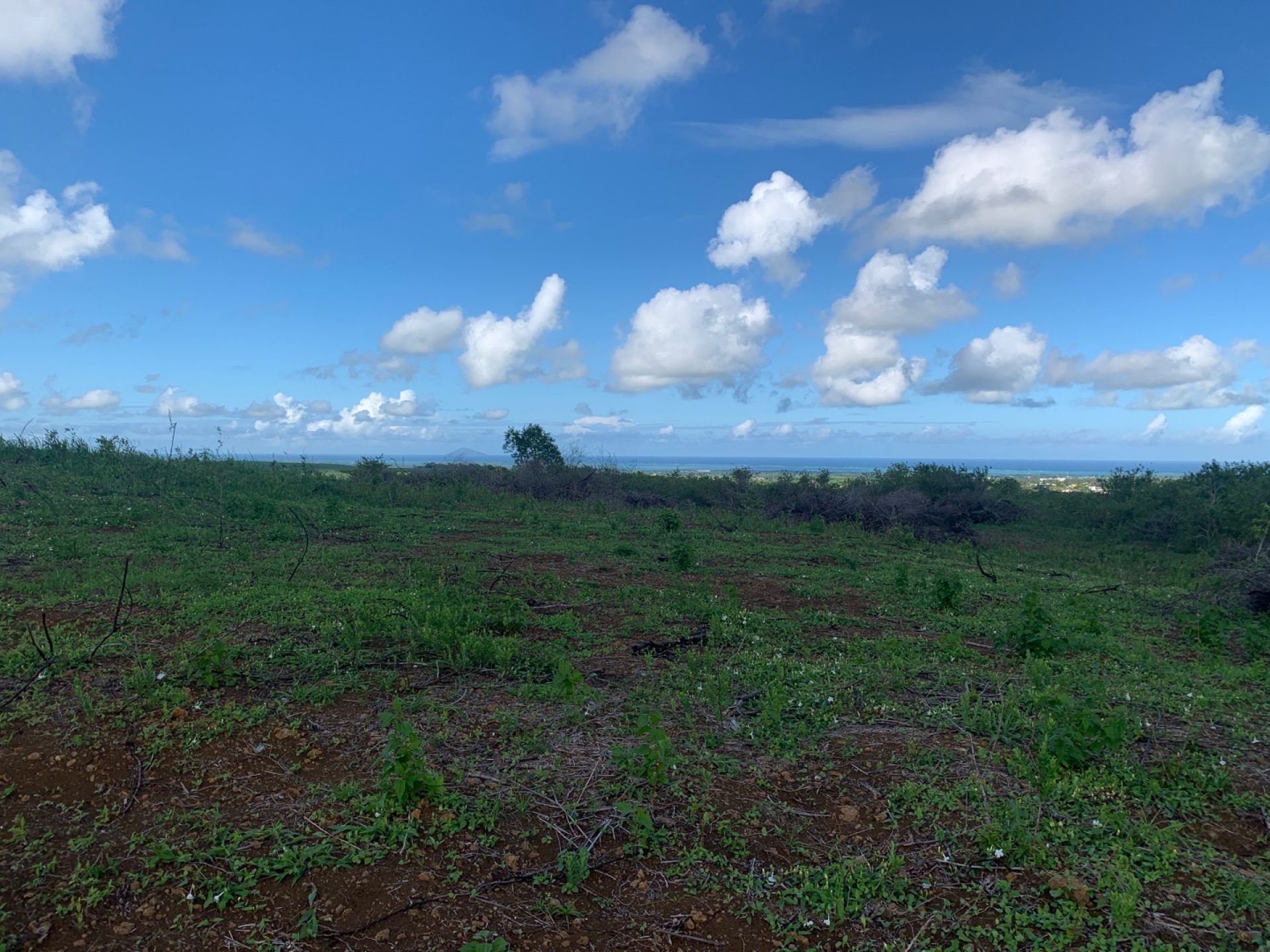Agricultural land of 5240 m2 for sale in Amaury, north, Mauritius – LexpressProperty.com | 322862 | Ref01