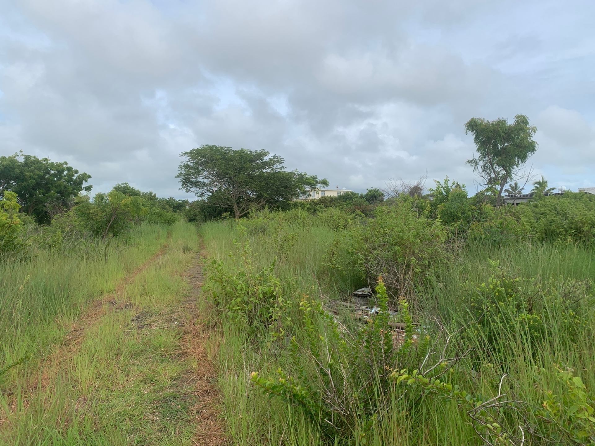 Residential land of 1482 m2 for sale in Goodlands, north, Mauritius – LexpressProperty.com | 328678 | Ref01