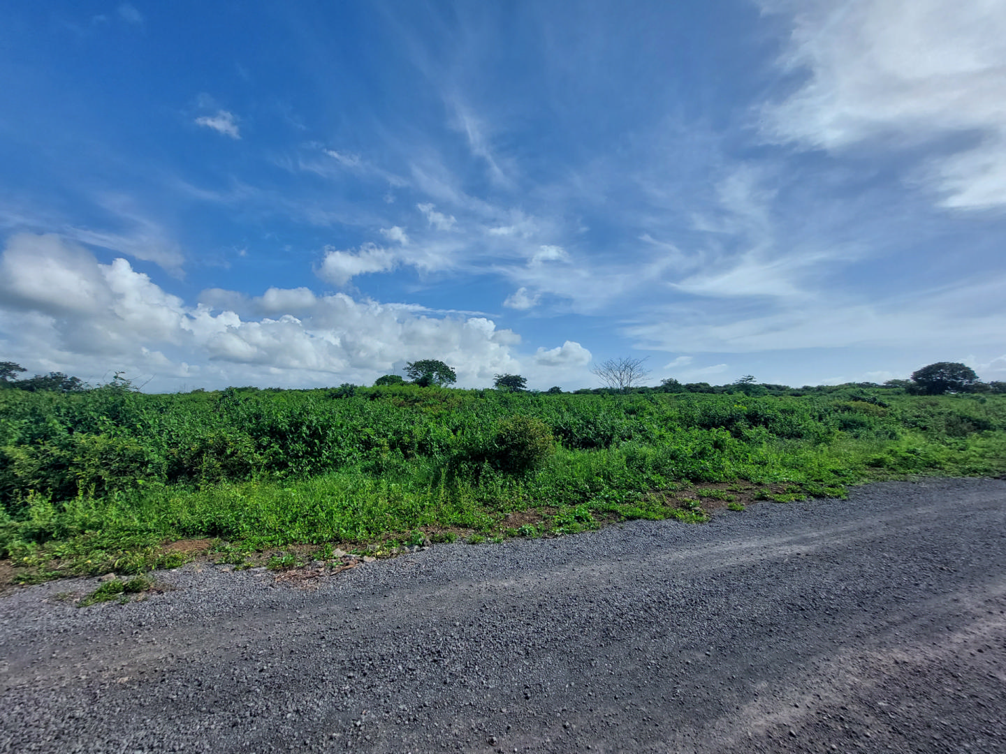 Terrain résidentiel de 12665 m2 en vente à Cap Malheureux, nord, île Maurice – LexpressProperty.com | 328611 | Ref01