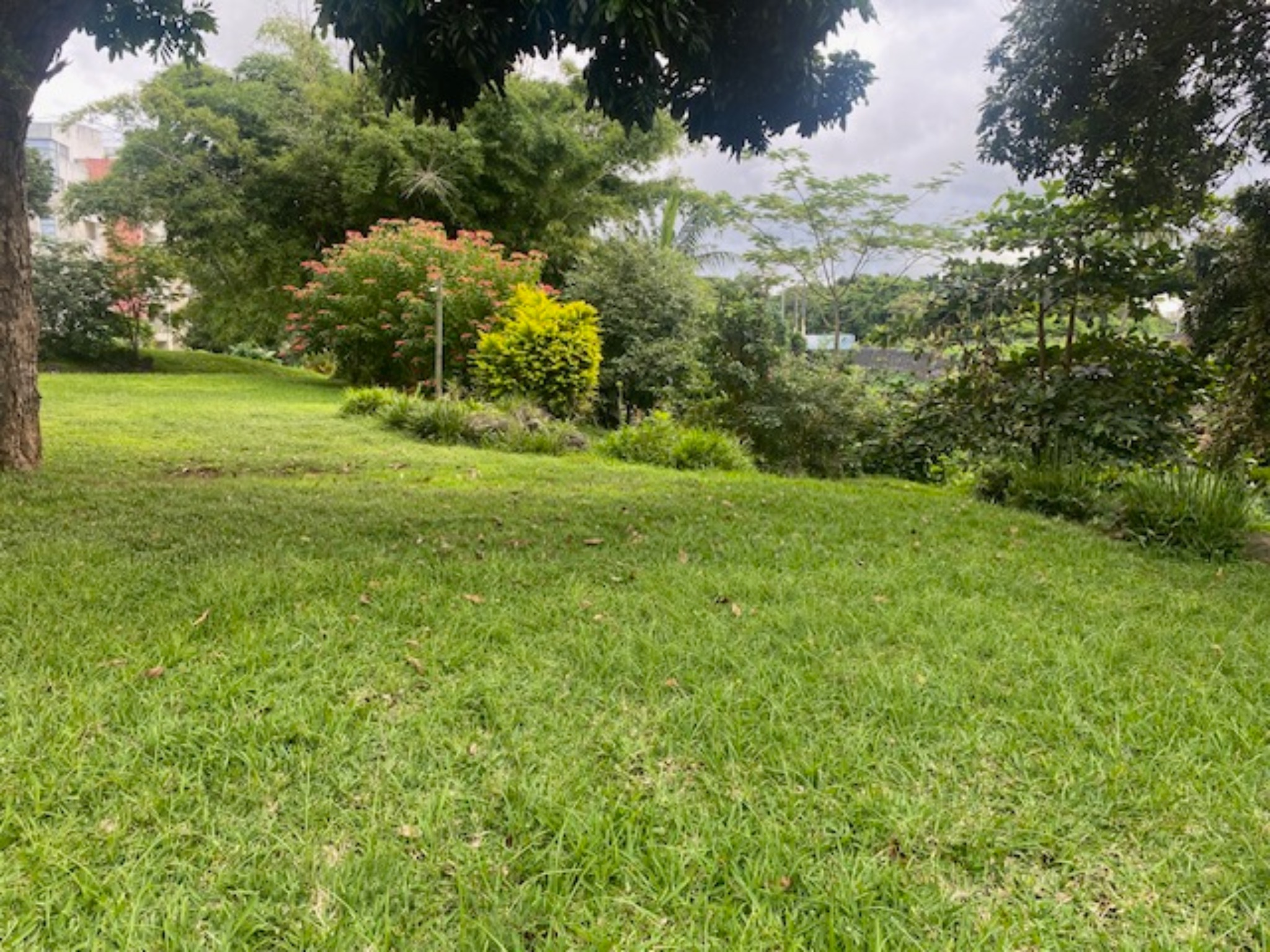 Townhouse / Duplex of 2 bedrooms for sale in Ebène, center, Mauritius – LexpressProperty.com | 332377 | Ref01