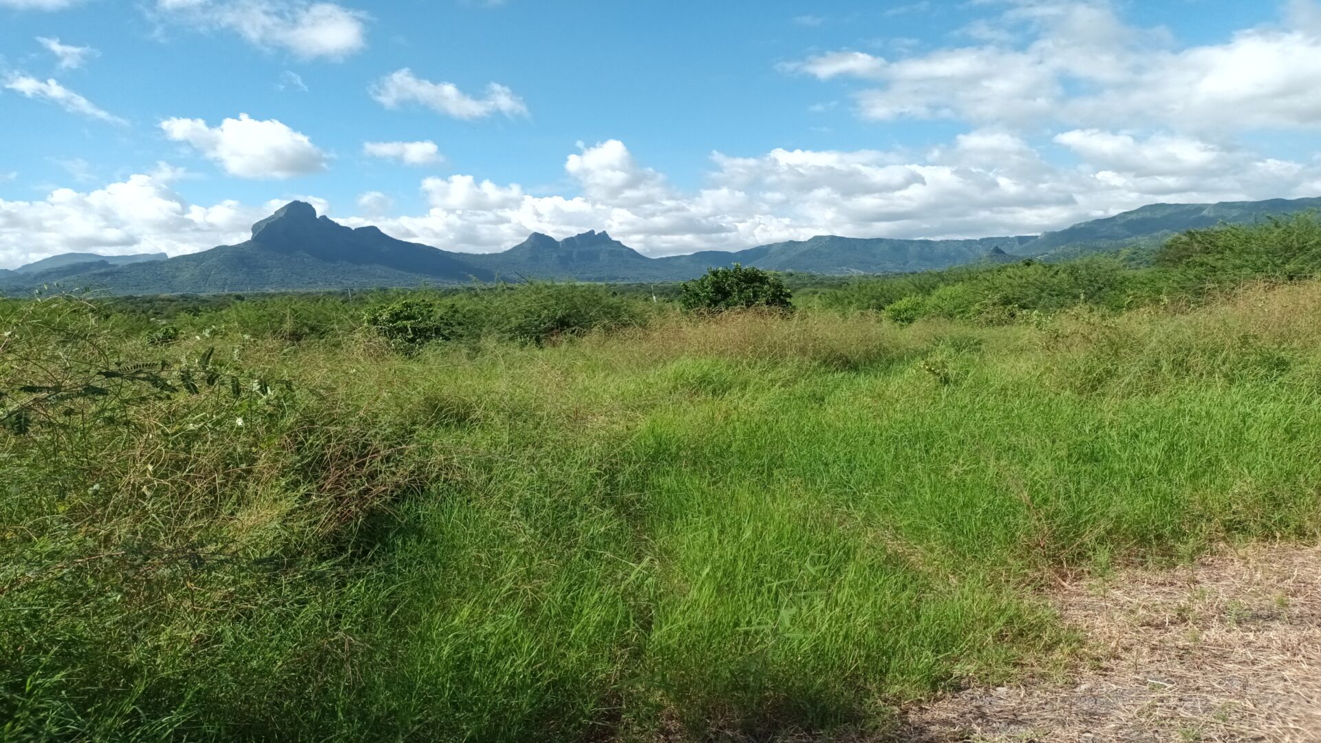 Property – LexpressProperty.com | 331489 | Ref01