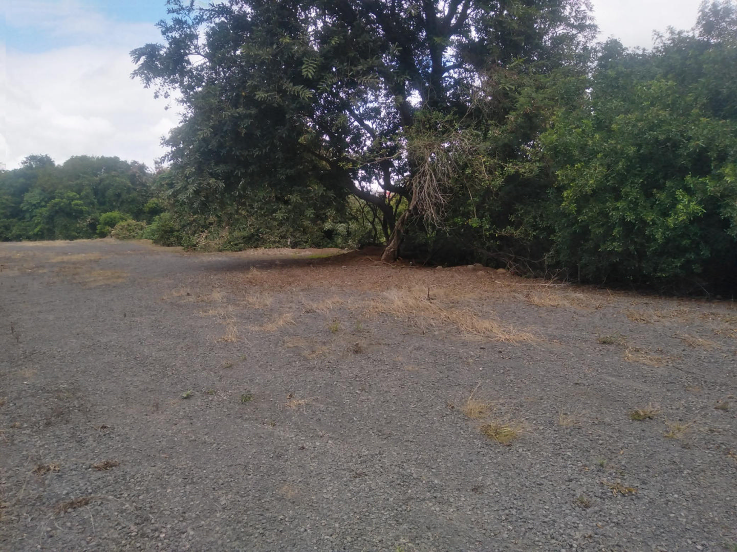 Property – LexpressProperty.com | 333280 | Ref01