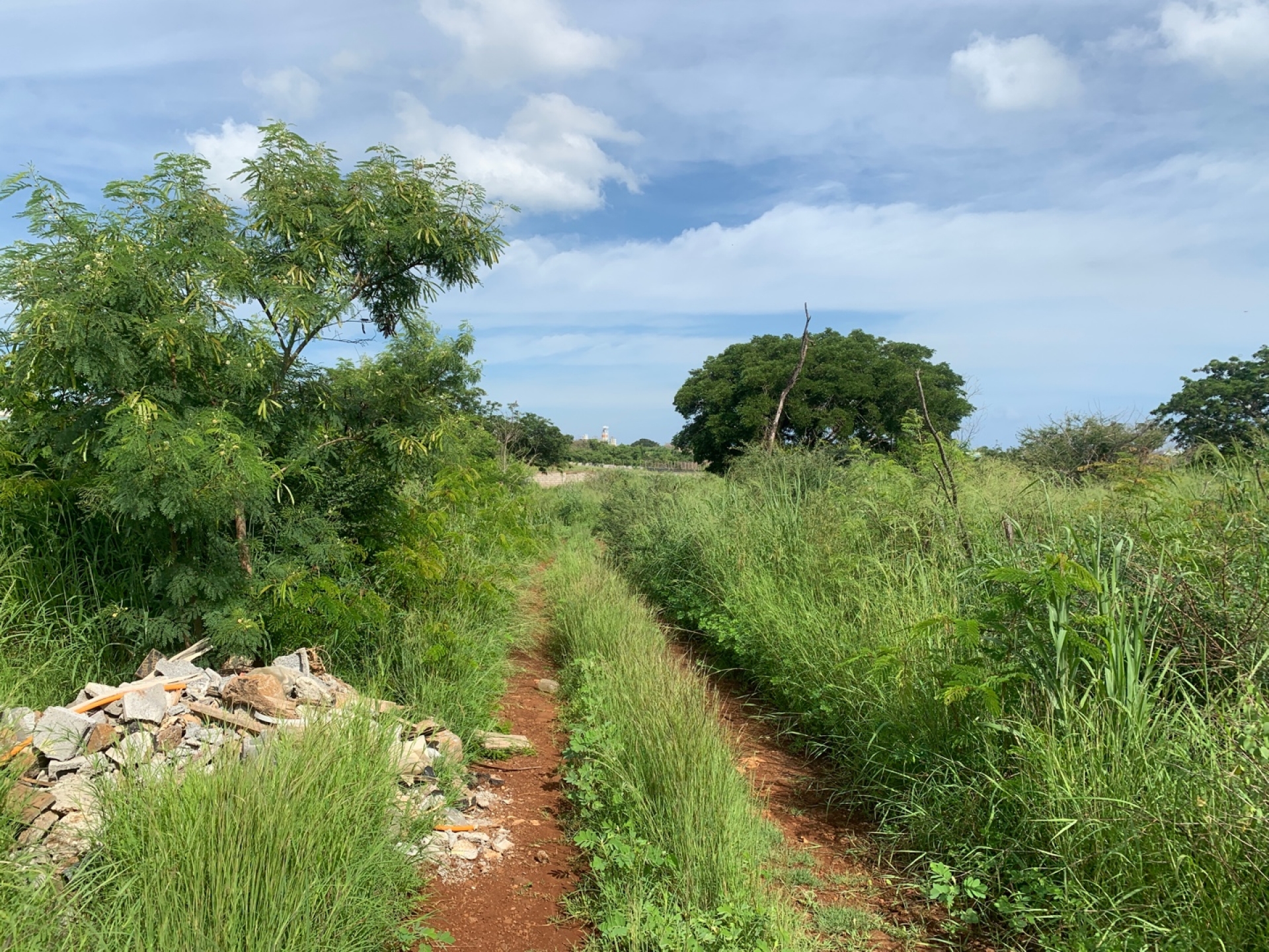 Agricultural land of 5487 m2 for sale in Petite Rivière, west, Mauritius – LexpressProperty.com | 335607 | Ref01
