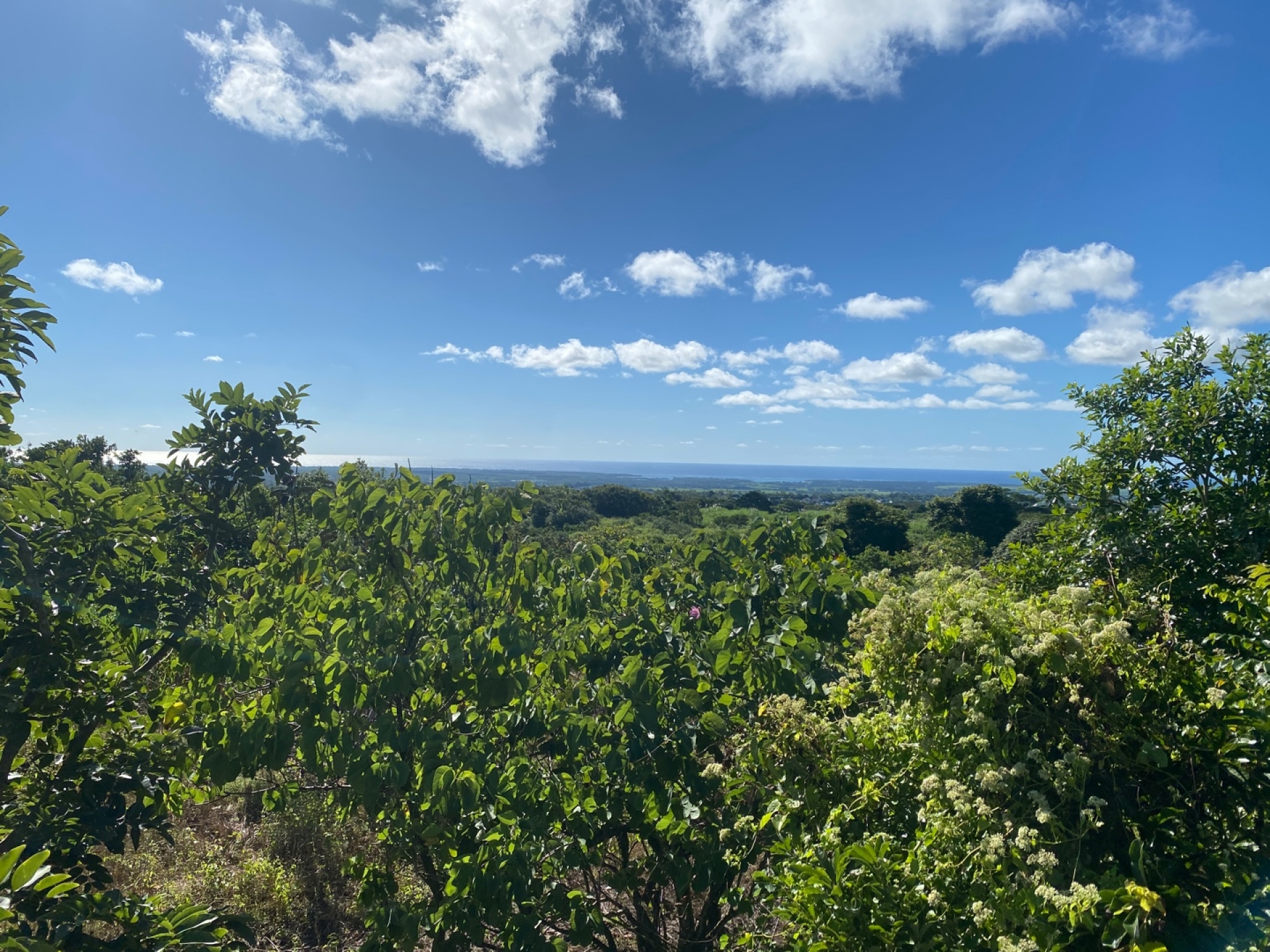 Agricultural land of 54322 m2 for sale in Lallmatie, east, Mauritius – LexpressProperty.com | 335610 | Ref01