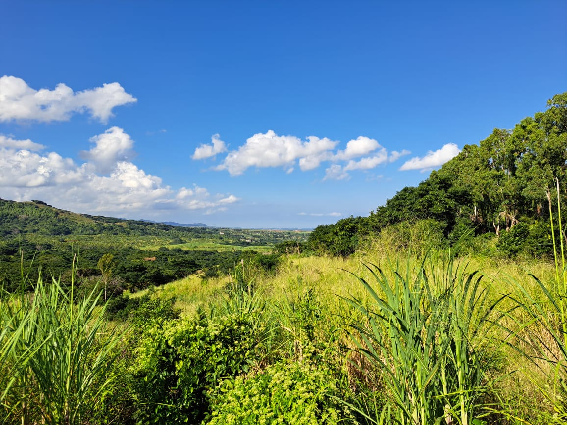 Agricultural land of 2360 m2 for sale in Baie du Cap, south, Mauritius – LexpressProperty.com | 333818 | Ref01