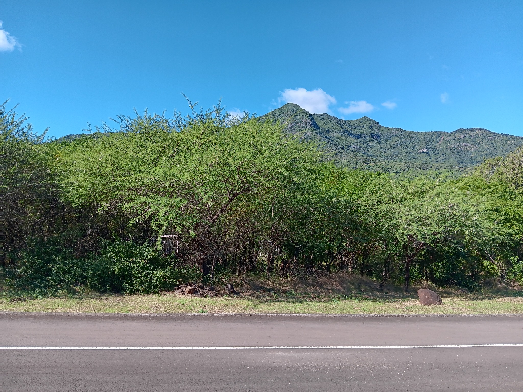Property – LexpressProperty.com | 336236 | Ref01
