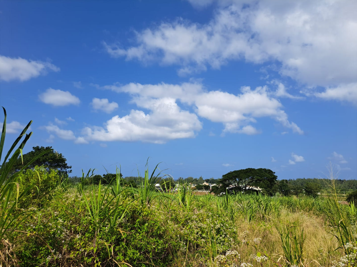 Agricultural land of 6922 m2 for sale in Surinam, south, Mauritius – LexpressProperty.com | 337869 | Ref01