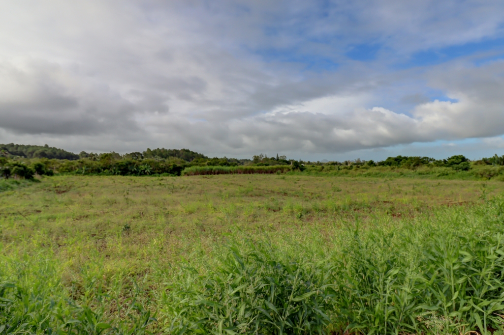 Agricultural land of 8441.74 m2 for sale in La Flora, south, Mauritius – LexpressProperty.com | 338053 | Ref01