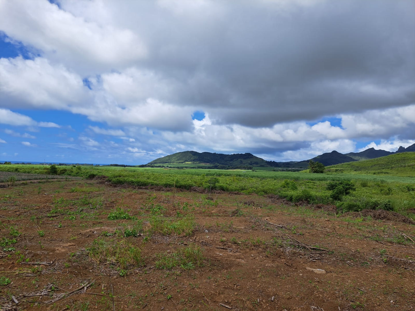 Terrain agricole de 2049 m2 en vente à La Lucie Roy, est, île Maurice – LexpressProperty.com | 338237 | Ref01