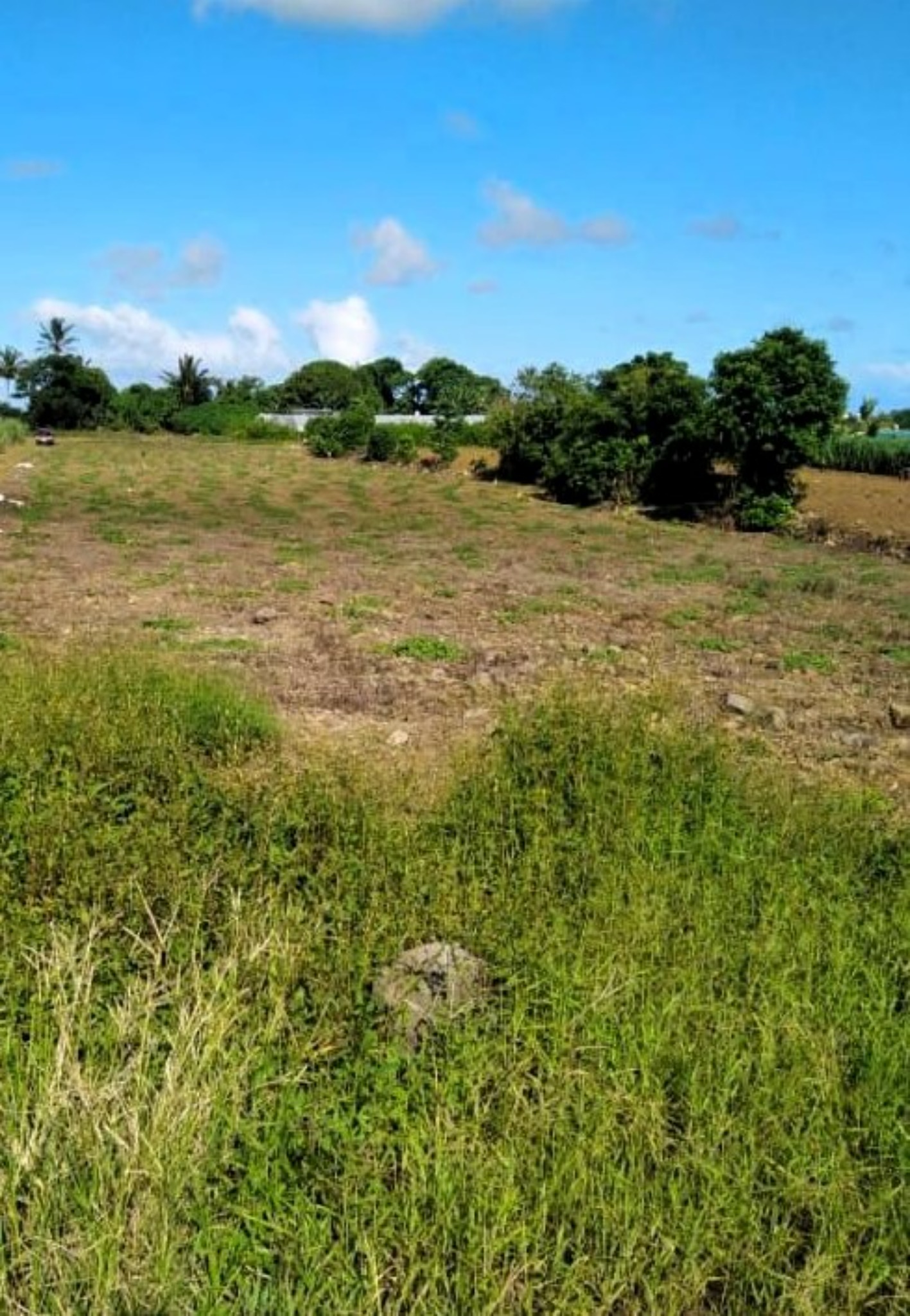Property – LexpressProperty.com | 338808 | Ref01