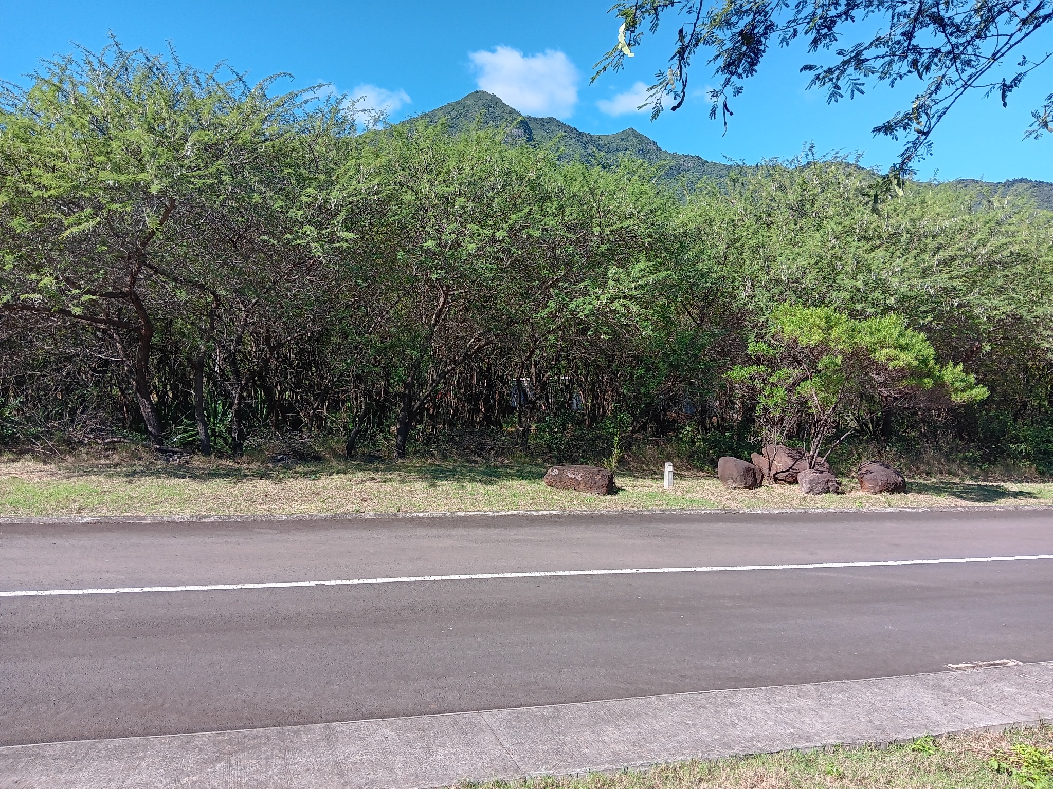 Property – LexpressProperty.com | 336373 | Ref01