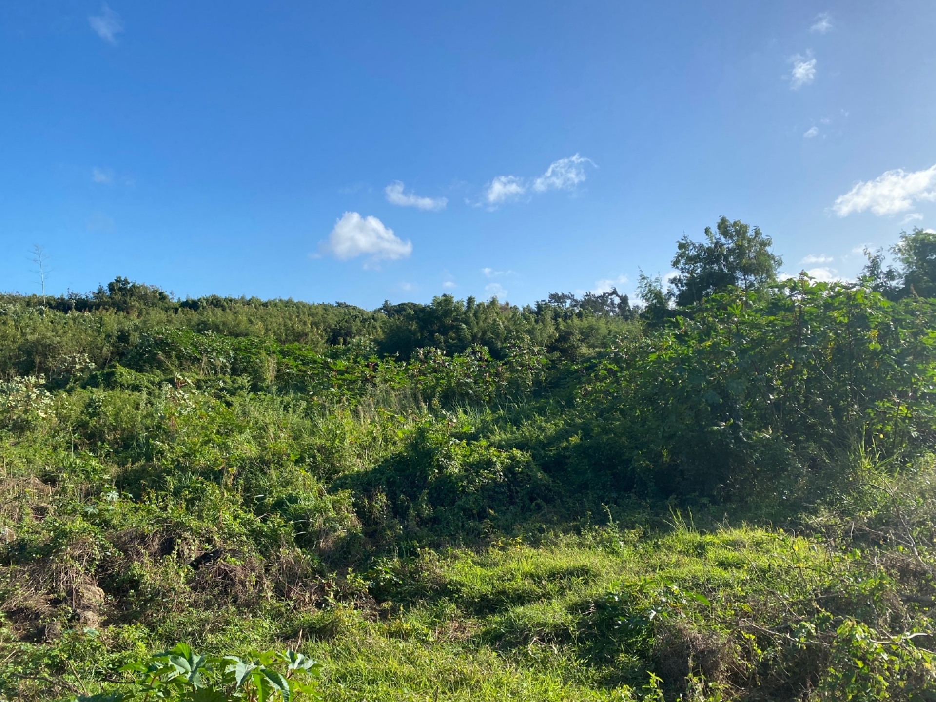 Terrain résidentiel de 1055 m2 en vente à Grand Gaube, nord, île Maurice – LexpressProperty.com | 336420 | Ref01