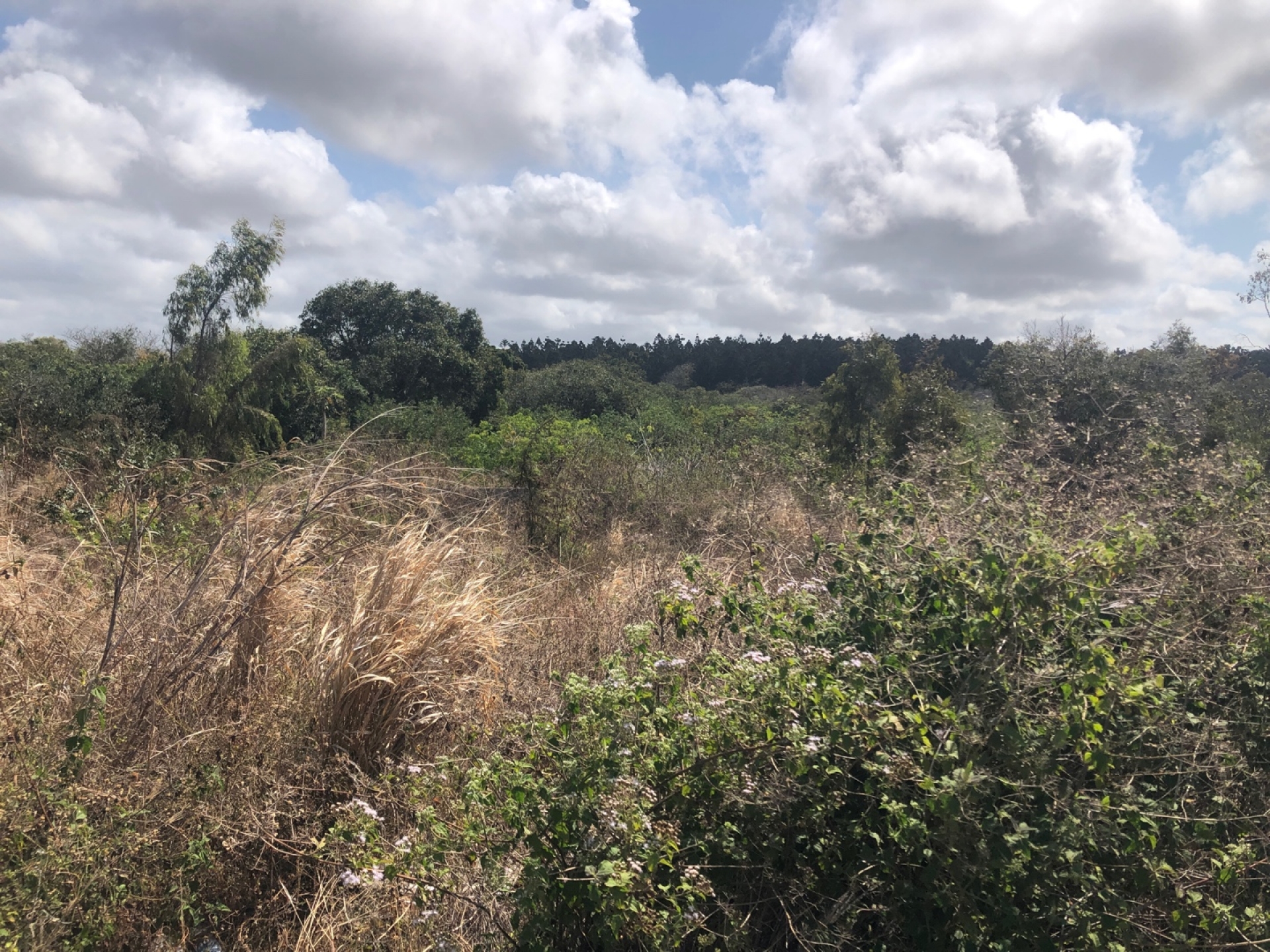 Residential land of 608 m2 for sale in Bras d'Eau, east, Mauritius – LexpressProperty.com | 336640 | Ref01