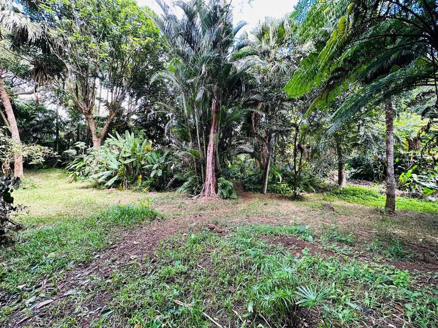 Property – LexpressProperty.com | 347509 | Ref01