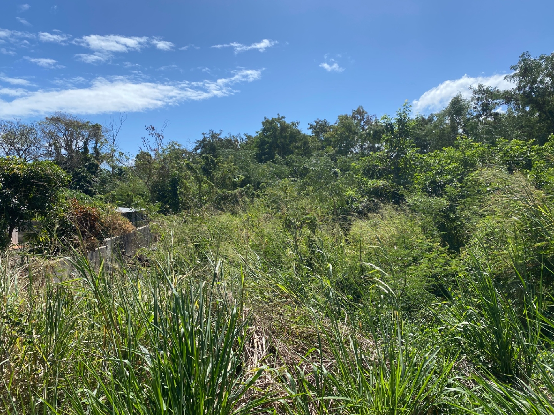 Residential land of 612 m2 for sale in Calebasses, north, Mauritius – LexpressProperty.com | 353143 | Ref01
