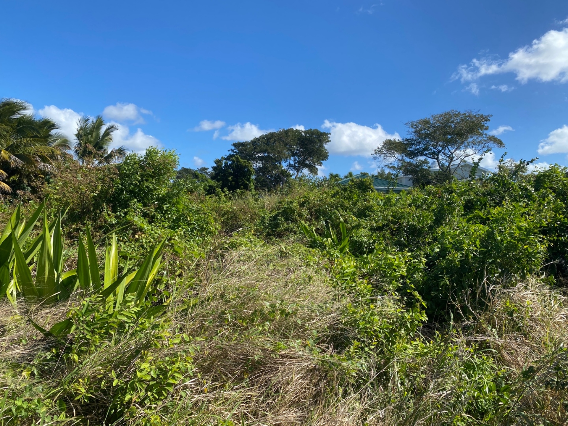 Terrain résidentiel de 2108 m2 en vente à Grand Gaube, nord, île Maurice – LexpressProperty.com | 339777 | Ref01