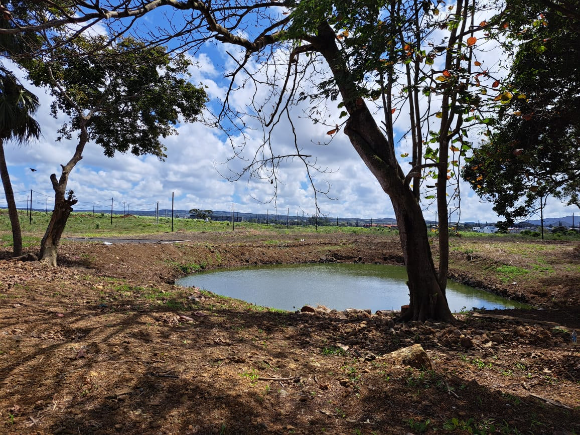 Terrain résidentiel de 420 m2 en vente à Rose Belle, sud, île Maurice – LexpressProperty.com | 367612 | Ref01