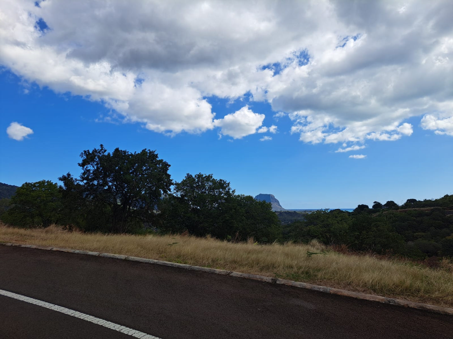 Residential land of 4513 m2 for sale in Petite Rivière Noire, west, Mauritius – LexpressProperty.com | 367304 | Ref01