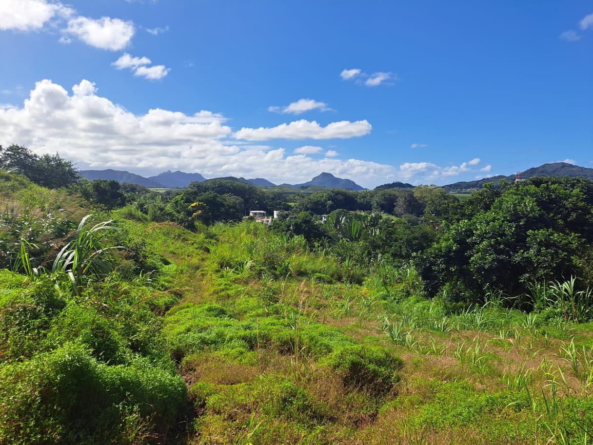 Agricultural land of 44614 m2 for sale in St Hubert, south, Mauritius – LexpressProperty.com | 601977 | Ref01