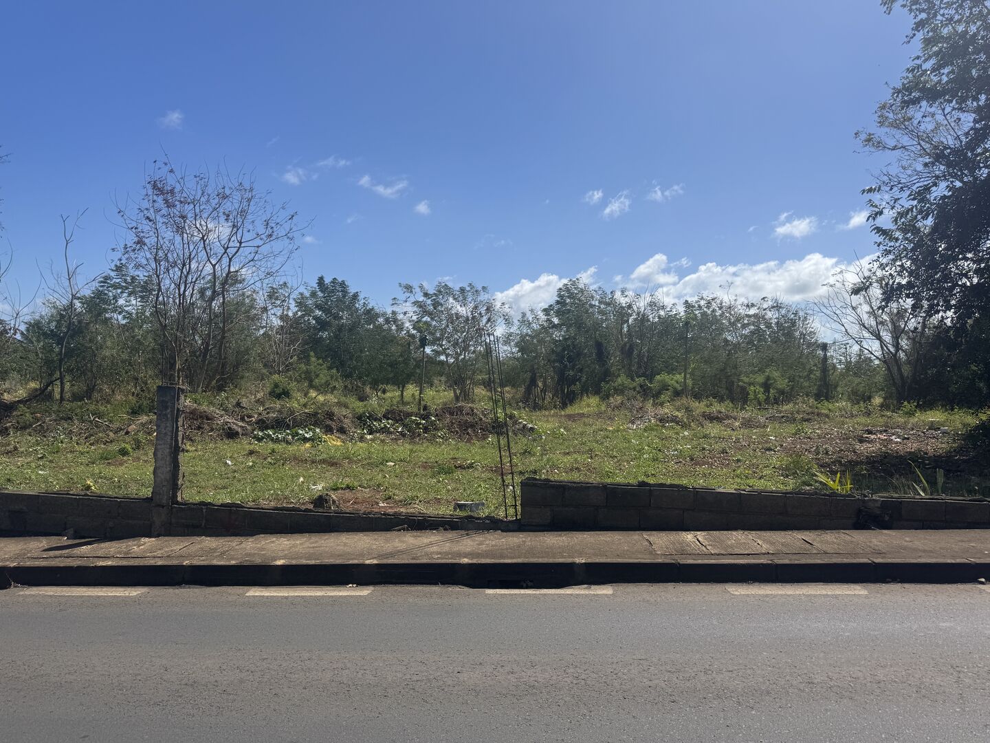 Terrain résidentiel de 2448 m2 en vente à Bois Pignolet, nord, île Maurice – LexpressProperty.com | 602733 | Ref01