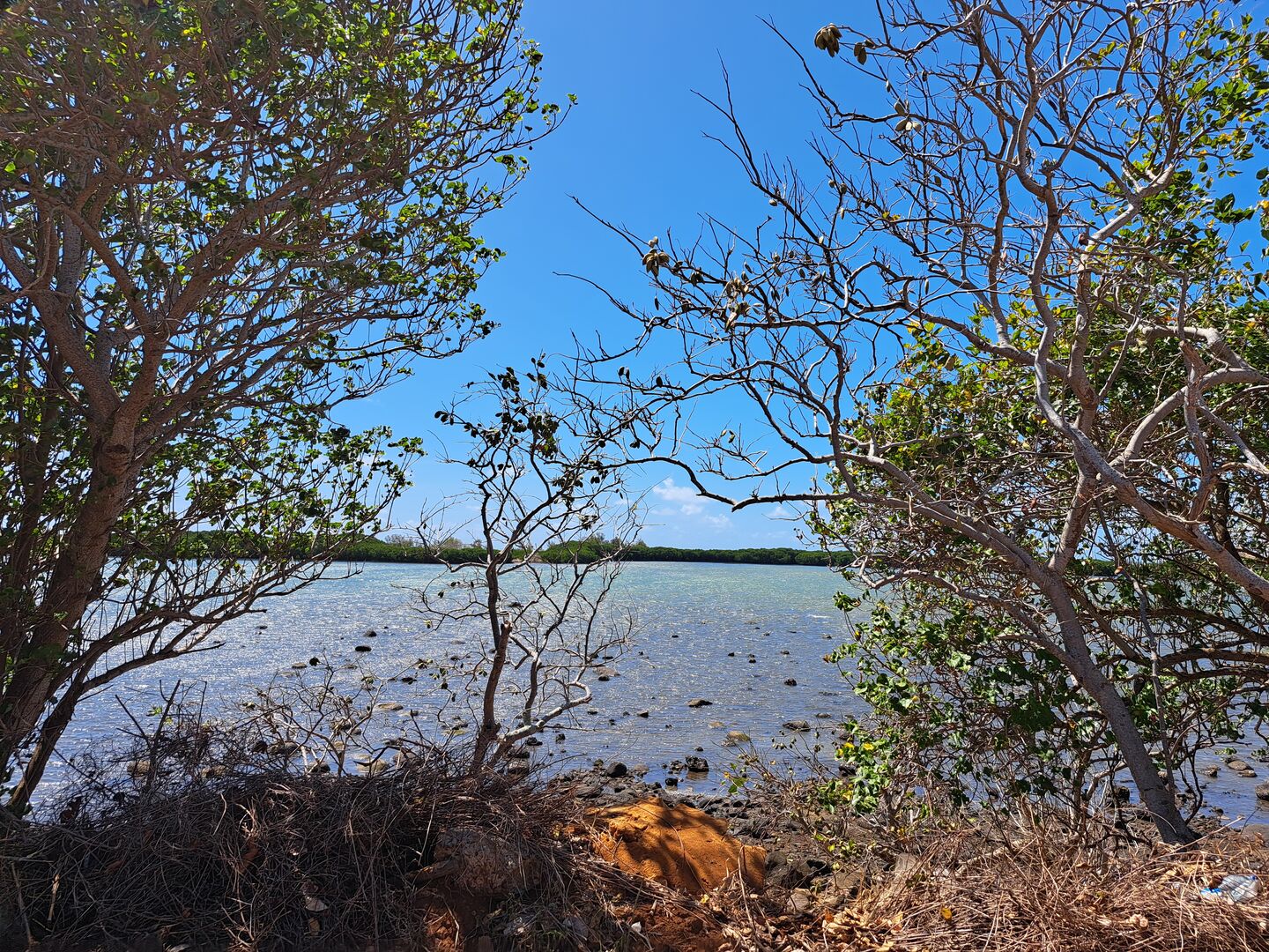 Terrain résidentiel de 1146 m2 en vente à Poudre d'Or, nord, île Maurice – LexpressProperty.com | 604175 | Ref01