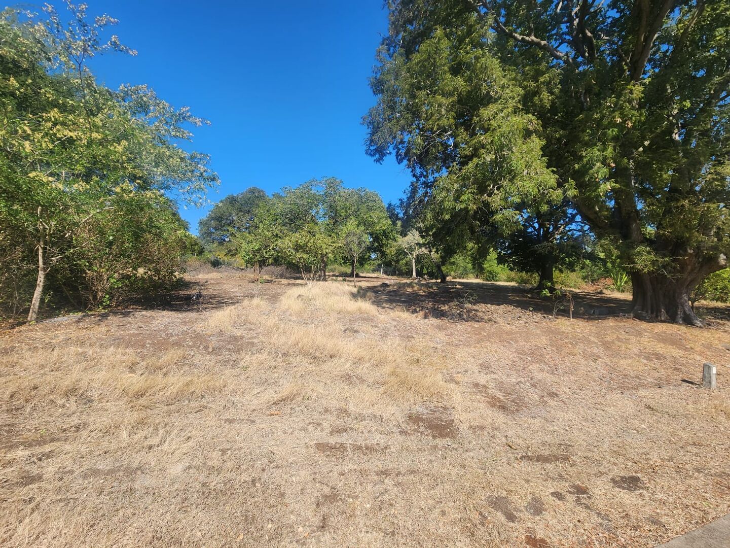 Residential land of 2123 m2 for sale in Petite Rivière Noire, west, Mauritius – LexpressProperty.com | 604920 | Ref01