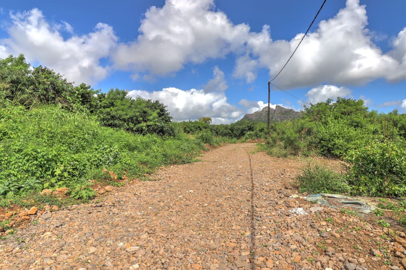 Property – LexpressProperty.com | 594056 | Ref01