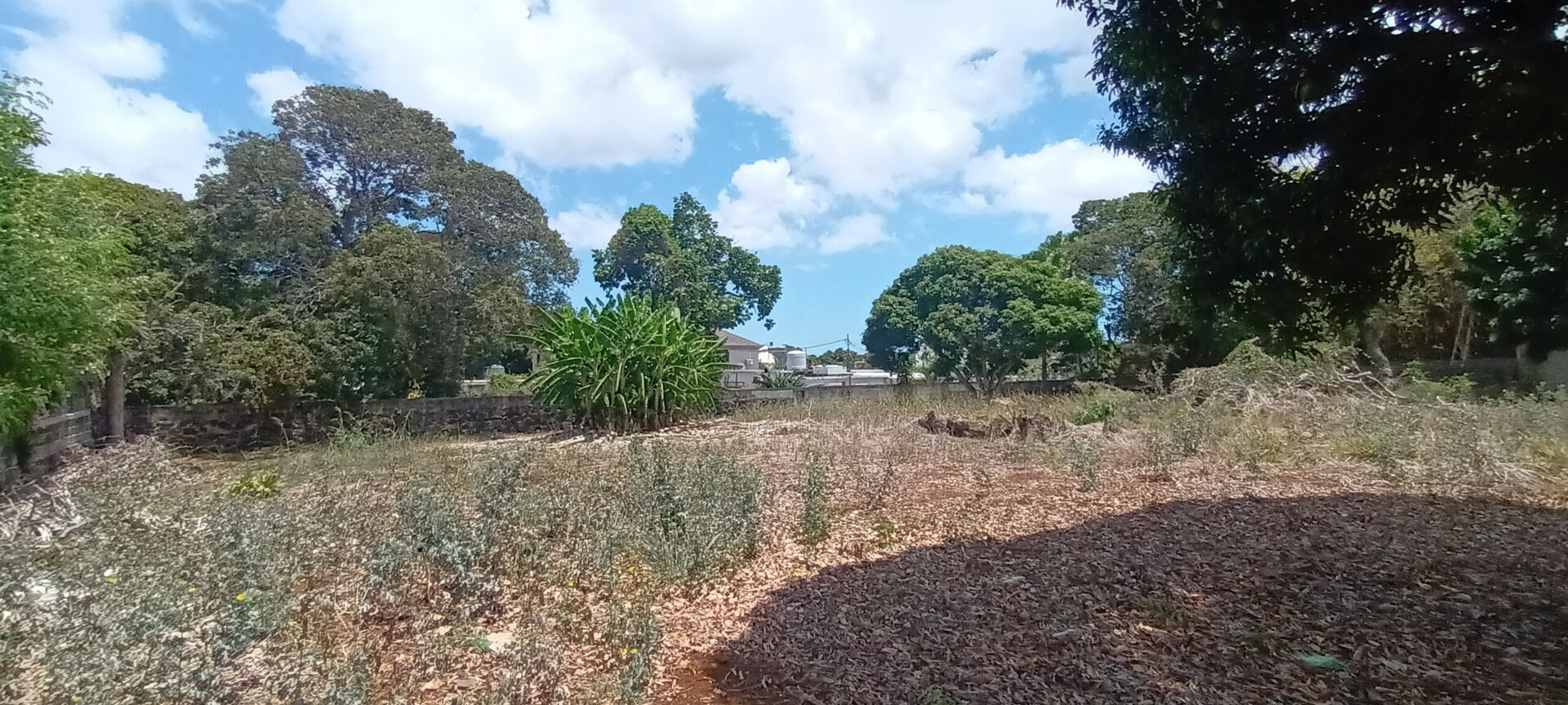 Property – LexpressProperty.com | 657789 | Ref01