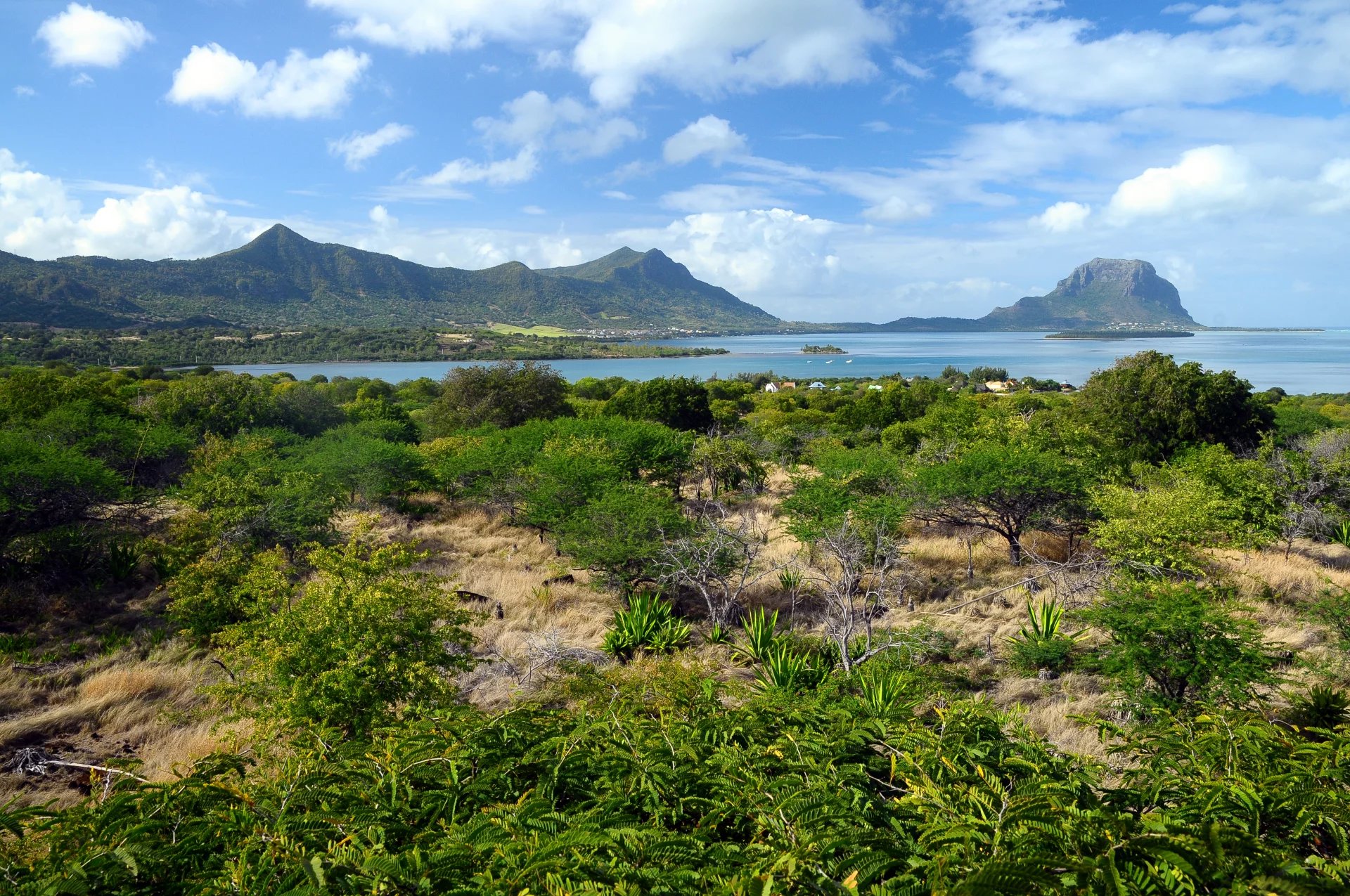 Residential land of 1712 m2 for sale in Petite Rivière Noire, west, Mauritius – LexpressProperty.com | 292671 | Ref01