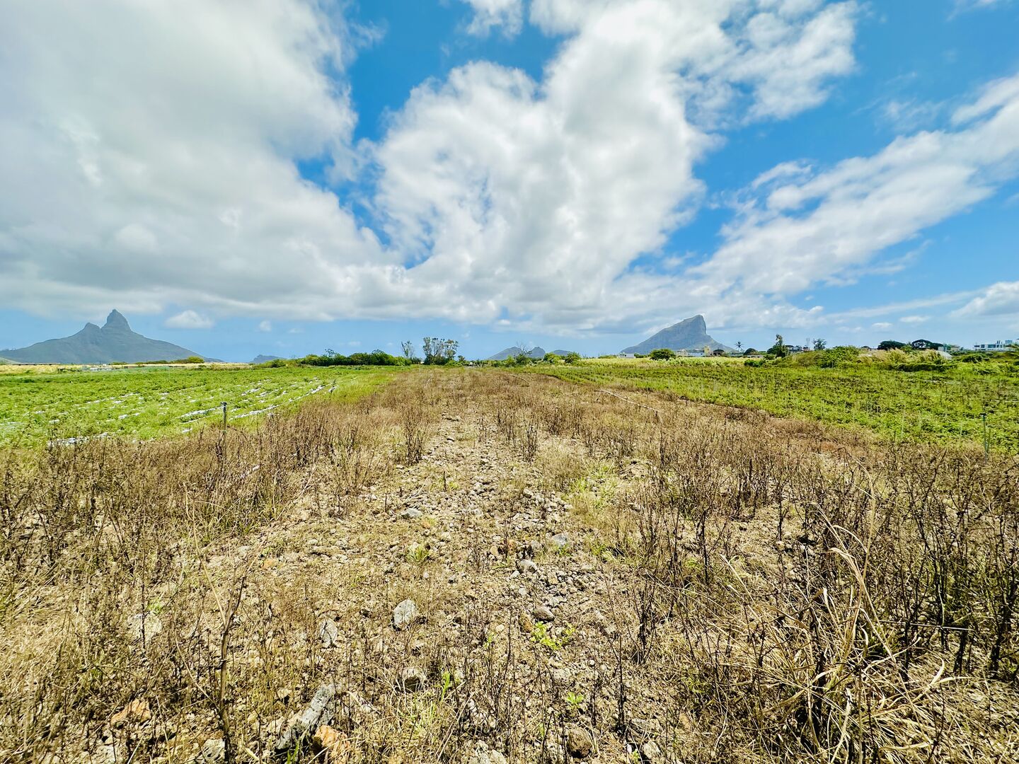 Property – LexpressProperty.com | 667141 | Ref01