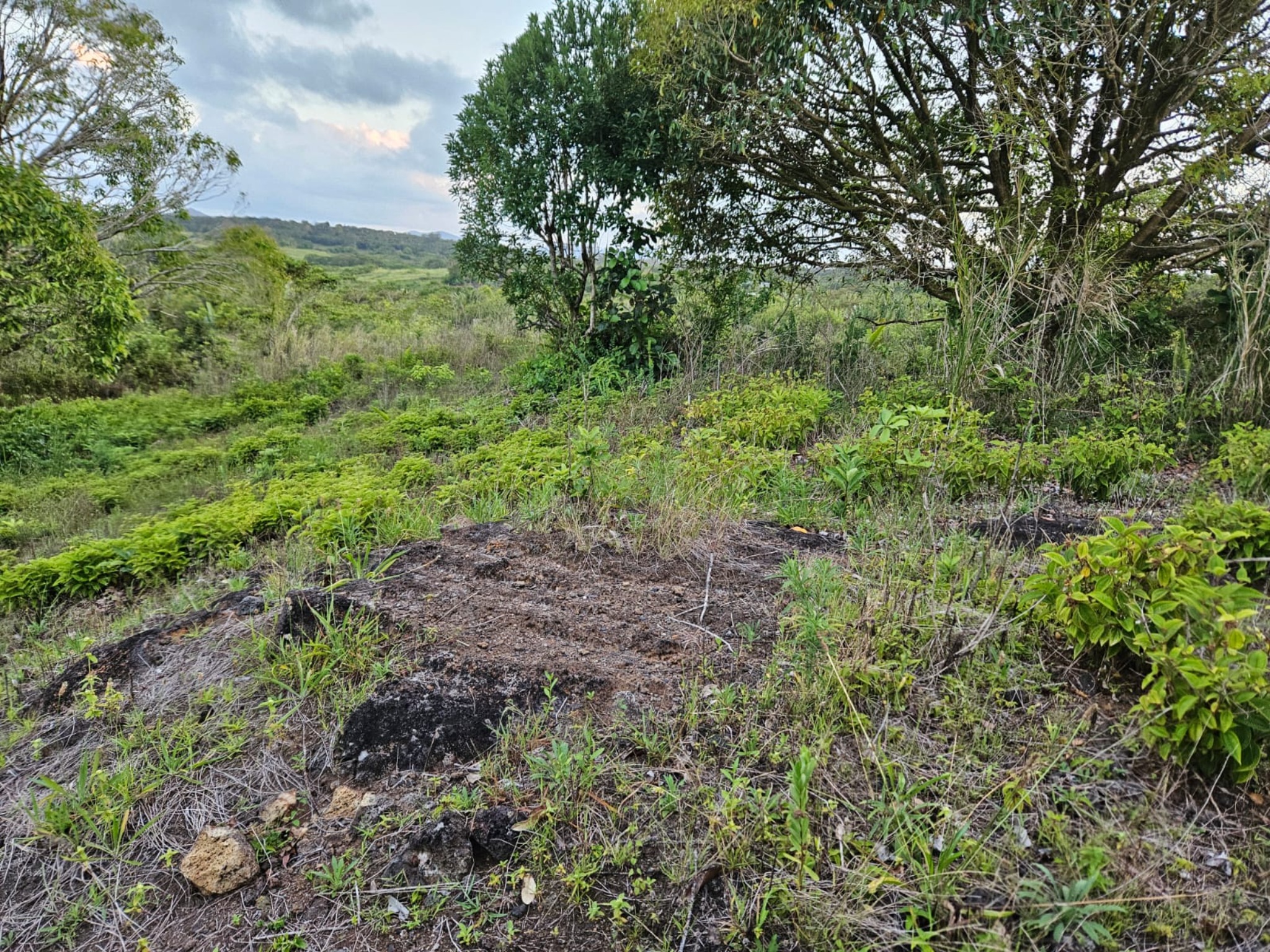 Terrain agricole de 2260 m2 en vente à Pont Bon Dieu, est, île Maurice – LexpressProperty.com | 668825 | Ref01