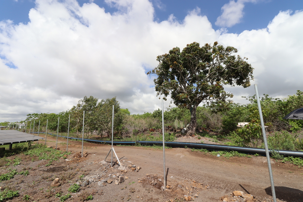 Agricultural land of 42208.7 m² for sale in L'Aventure, east, Mauritius – LexpressProperty.com | 386961 | Ref01