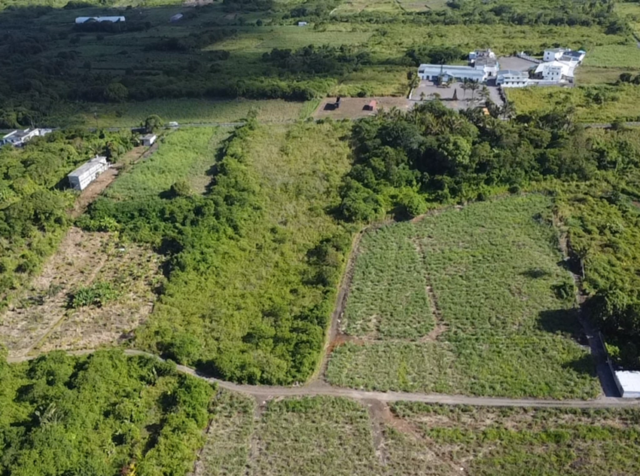 Agricultural land of 13437 m2 for sale in Belvédère, east, Mauritius – LexpressProperty.com | 679374 | Ref01