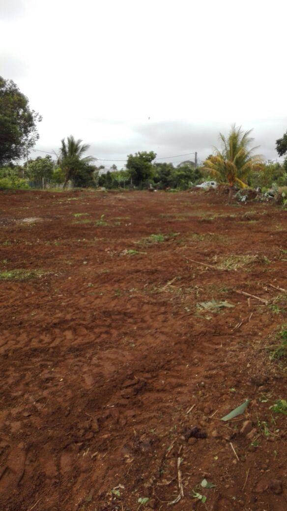 Terrain résidentiel de 3866 m2 en vente à New Grove, sud, île Maurice – LexpressProperty.com | 671914 | Ref01