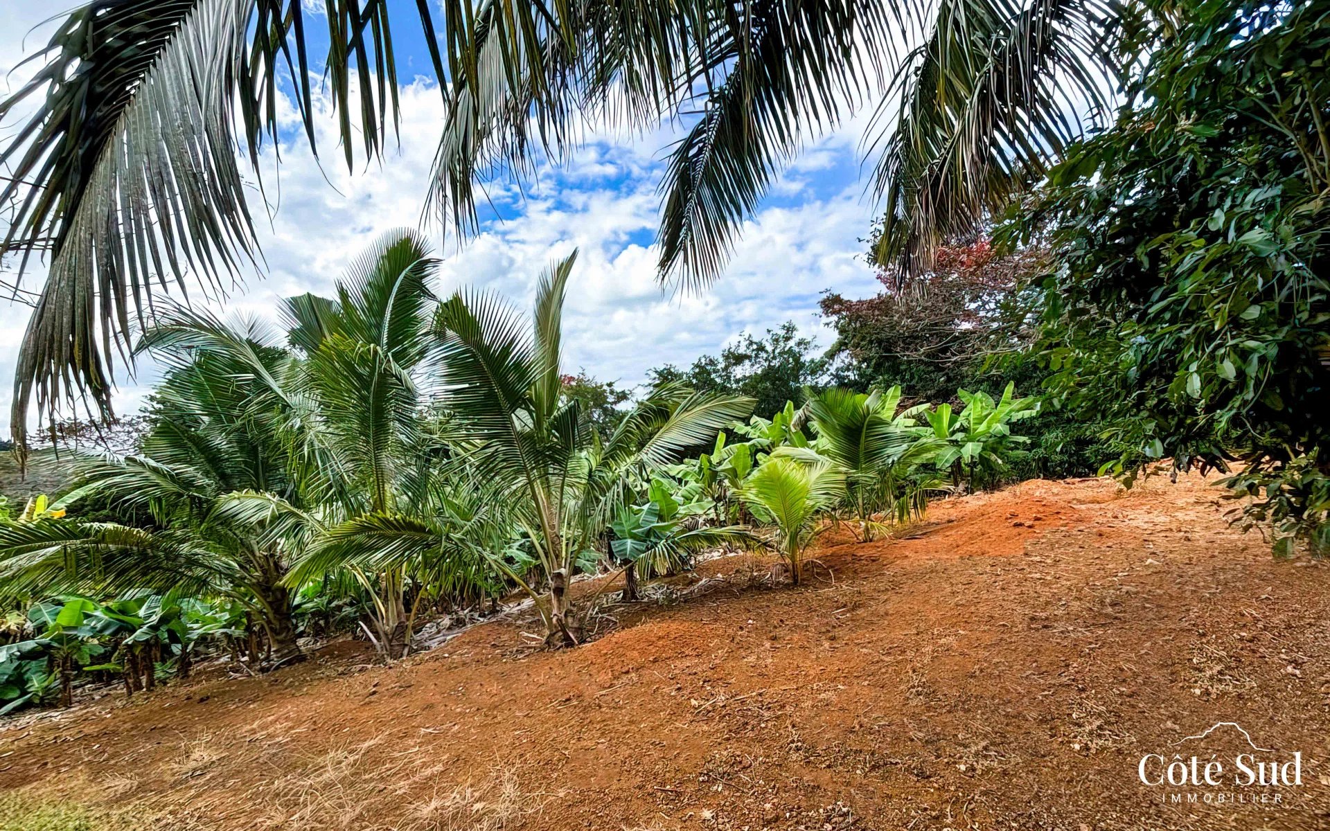 Residential land of 1519 m2 for sale in Rivière des Créoles, south, Mauritius – LexpressProperty.com | 547503 | Ref01