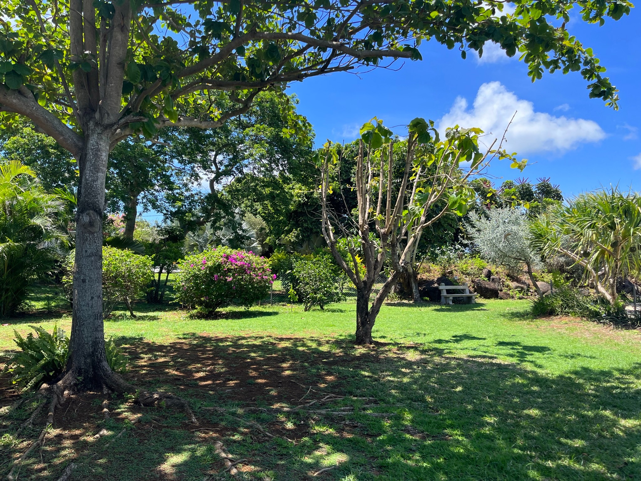 Property – LexpressProperty.com | 397162 | Ref01
