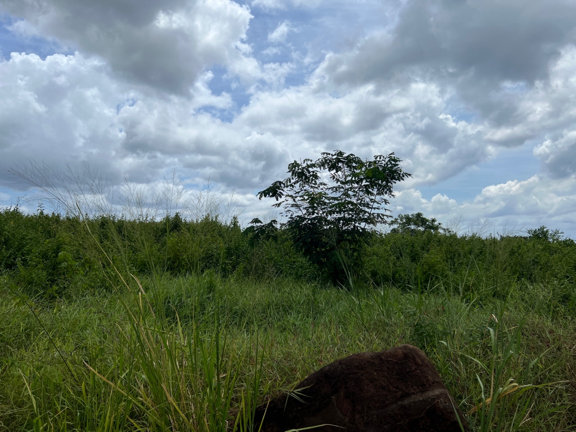 Agricultural land of 37790 m2 for sale in Petite Rivière, west, Mauritius – LexpressProperty.com | 397681 | Ref01