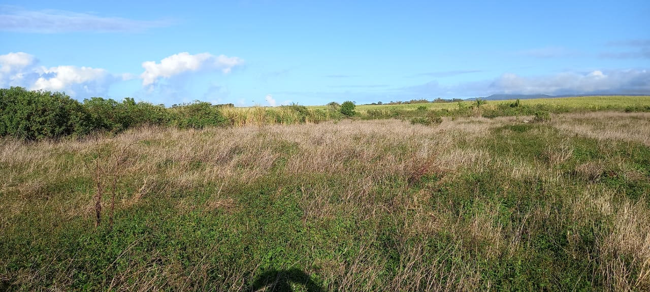 Agricultural land of 5275 m2 for sale in L'Escalier, south, Mauritius – LexpressProperty.com | 399372 | Ref01